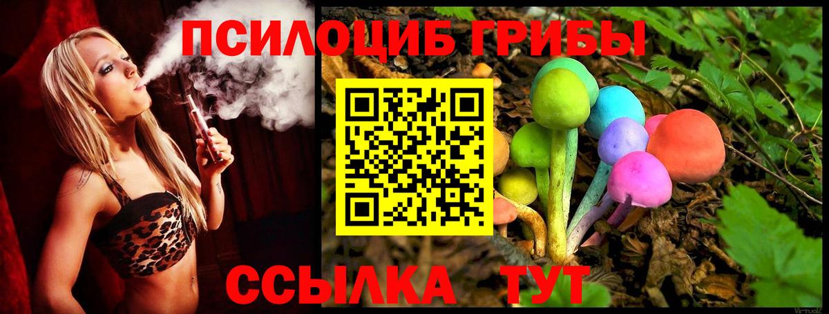 Псилоцибиновые грибы Psilocybine cubensis Нальчик