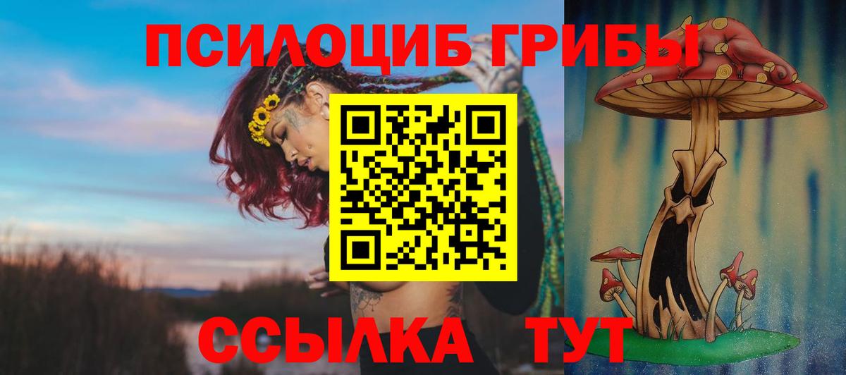 Нальчик  Псилоцибиновые грибы Psilocybine cubensis  Вход с VPN  Галлюциногенные грибы Psilocybine cubensis 