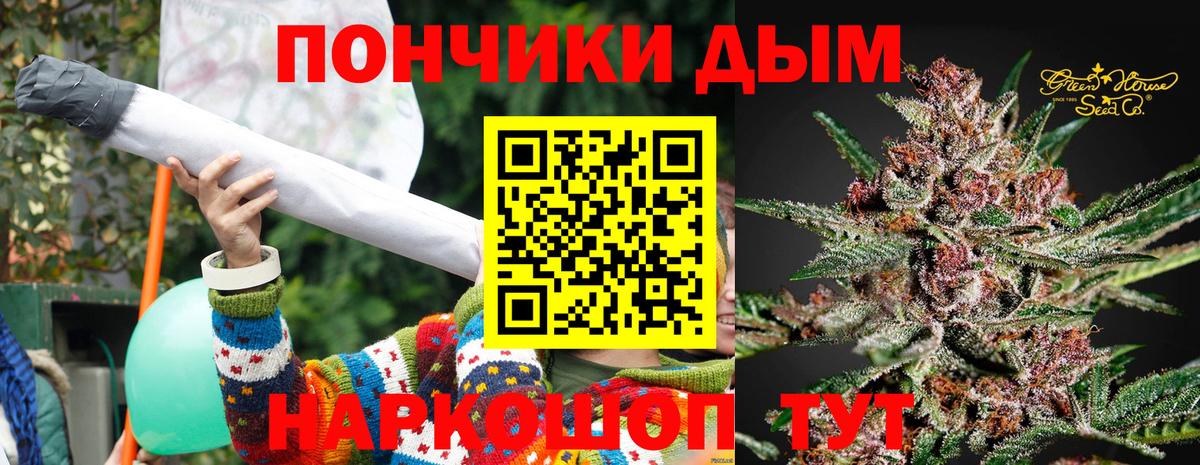 Шишки марихуана планчик Нальчик